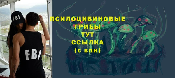молекула духа Вязьма