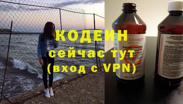 прущая мука Вяземский