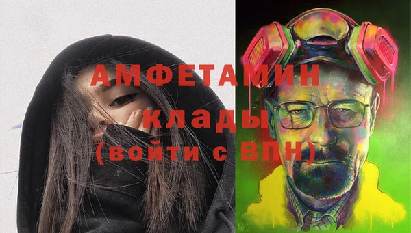 молекула духа Вязьма