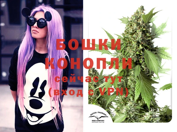 прущая мука Вяземский