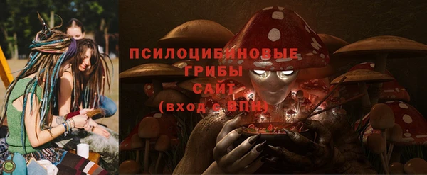 соль ск Новозыбков