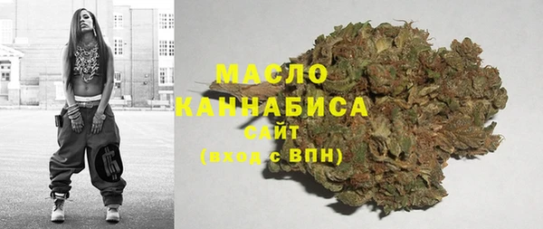 молекула духа Вязьма