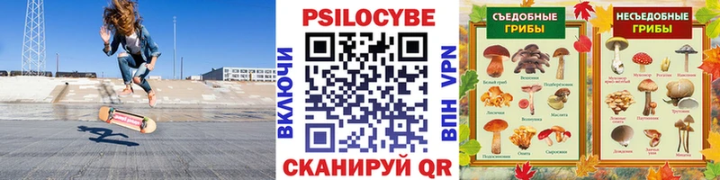 даркнет сайт  Мещовск  Галлюциногенные грибы прущие грибы 